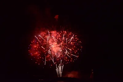 DSC_3434 (Large).JPG